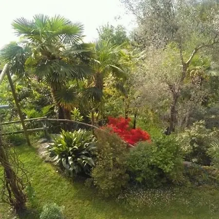 Pinosedi